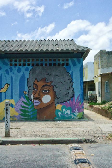 Fresque à l’afro — Couleur
